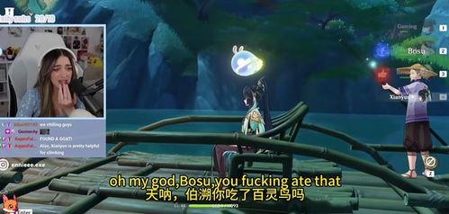 枫丹角色爆料视频大全集,揭秘角色背后的故事与魅力  第2张